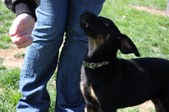 Enlarge photo 17