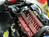Enlarge photo 532
