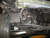 Enlarge photo 491