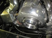 Enlarge photo 495