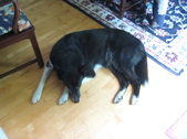 Enlarge photo 2