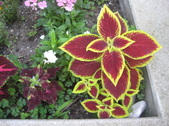 Enlarge photo 13