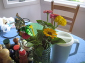 Enlarge photo 16