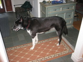 Enlarge photo 18