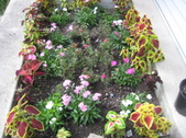 Enlarge photo 22