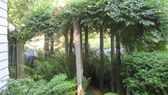 August 2008