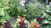 Enlarge photo 14