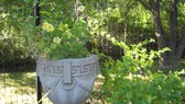 Enlarge photo 15