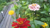 Enlarge photo 19