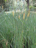 August 2012