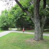 Enlarge photo 28