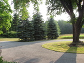 Enlarge photo 26