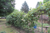 Enlarge photo 24