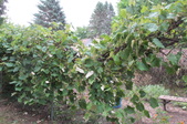 Enlarge photo 25