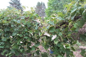 Enlarge photo 26