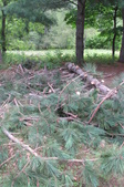 Enlarge photo 27