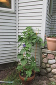 Enlarge photo 35