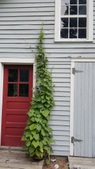 Enlarge photo 14