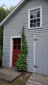 Enlarge photo 17