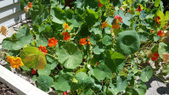 Enlarge photo 26