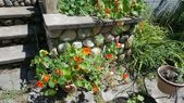Enlarge photo 27