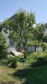 Enlarge photo 30