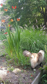 Enlarge photo 5