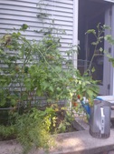 Enlarge photo 14