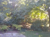 Enlarge photo 16
