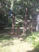 Enlarge photo 22