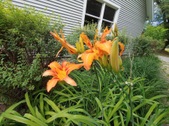 Enlarge photo 14