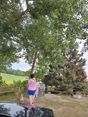 Enlarge photo 27