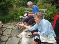 Enlarge photo 5