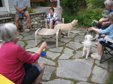 Enlarge photo 7
