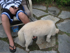 Enlarge photo 10
