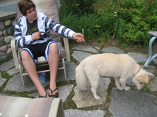 Enlarge photo 11
