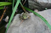 Enlarge photo 19