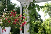 Enlarge photo 12