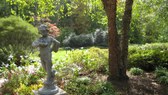 Enlarge photo 21
