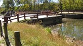 Enlarge photo 11