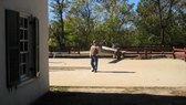 Enlarge photo 14