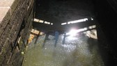 Enlarge photo 16