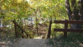 Enlarge photo 22