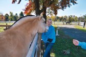 Horses
