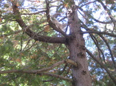 Enlarge photo 17