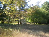 Enlarge photo 29