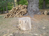 Enlarge photo 28