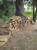 Enlarge photo 29