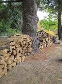 Enlarge photo 30