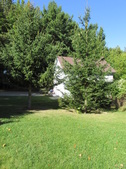 Enlarge photo 10